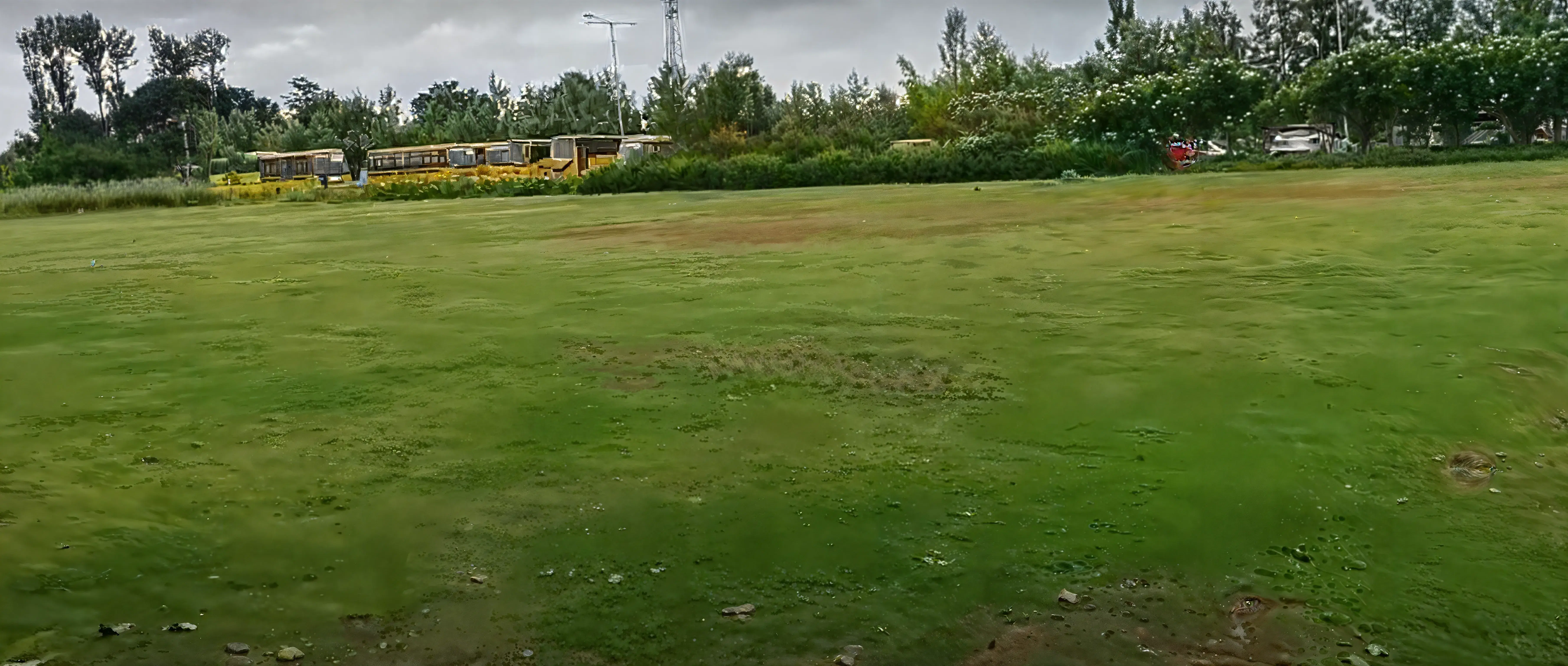 Presidency College Bangalore sports photo 3